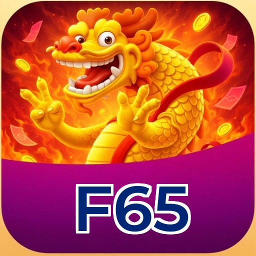 FAQ - Perguntas Frequentes F65